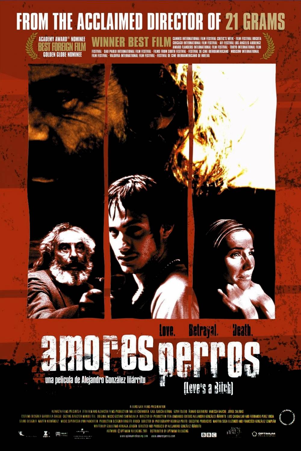 Amores perros / სასტიკი სიყვარული
